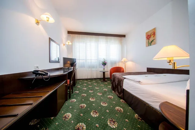 Standard, Double Bed, Best Western Central Hotel 2/5