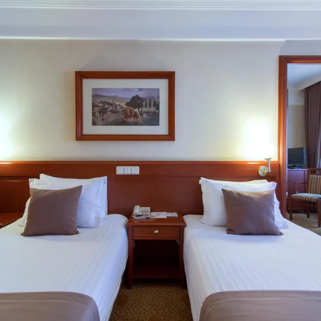غرفة قياسية، Dila Hotel 1/10