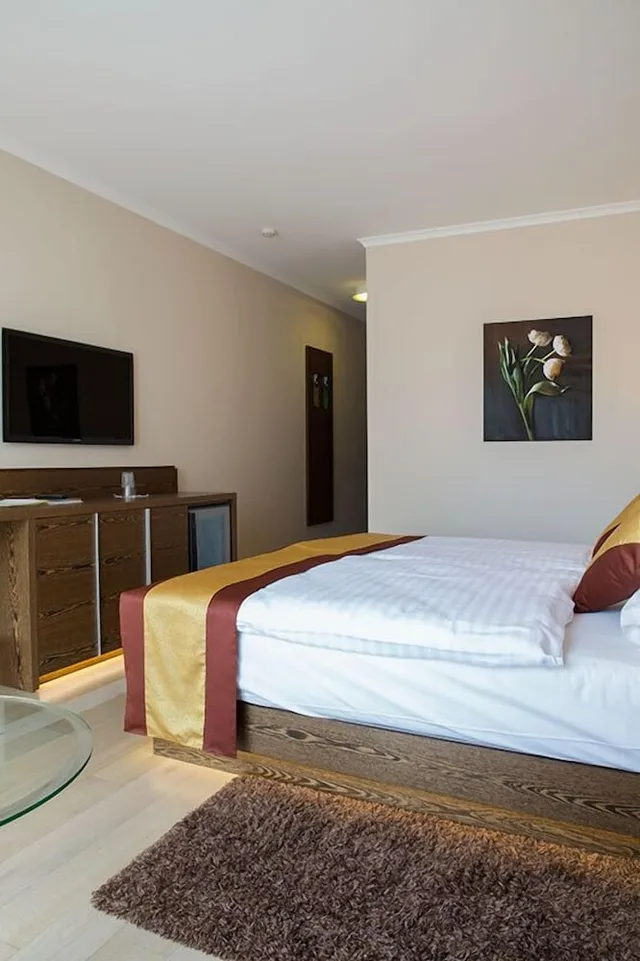 1 Bedroom, Business, King Bed, Allergy Friendly، SACHER BADEN 1/3
