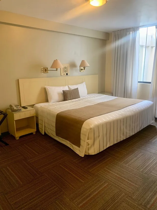غرفة قياسية بسرير كينج، Embajadores Hotel 2/3