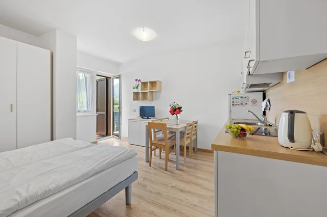 1 Bedroom, Panoramic, Apartment, Valley View, Balcony، Residence Lagorai 7/8