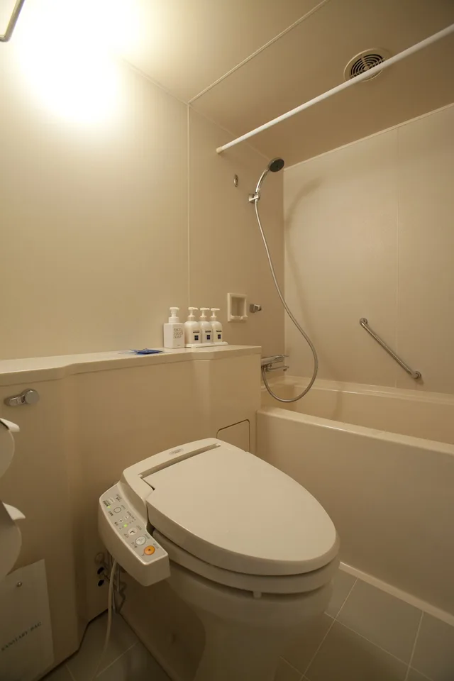 Deluxe, Triple, Twin Beds, 3 Beds, Sofa, Toyama Excel Hotel Tokyu 2/2