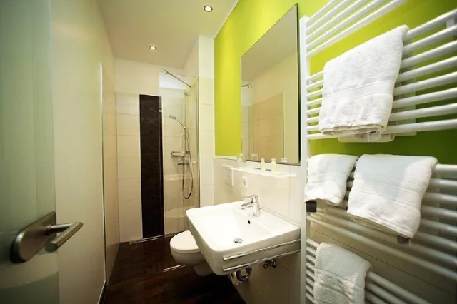 غرفة بزنس مفردة بسرير مزدوج، Hotel Sonnenhof 3/3