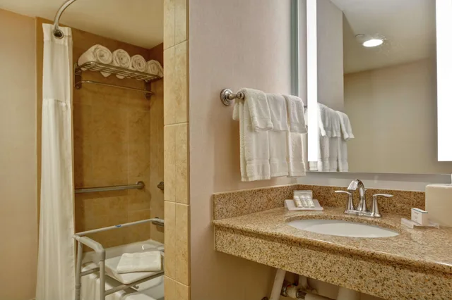 جناح ديلوكس بسرير كينج بغرفة نوم واحدة لذوي الإعاقة، Hilton Garden Inn Lake Buena Vista 4/4