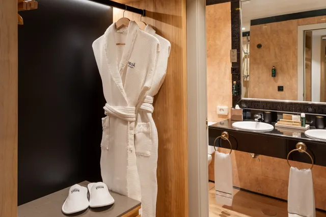 غرفة قياسية بسرير مزدوج أو سريرين منفصلين، Melia Madrid Barajas 8/8