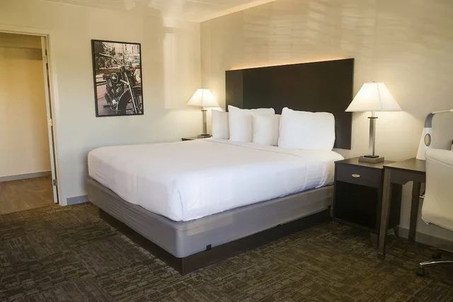 Room, King Bed, Americana Modern Hotel 1/1