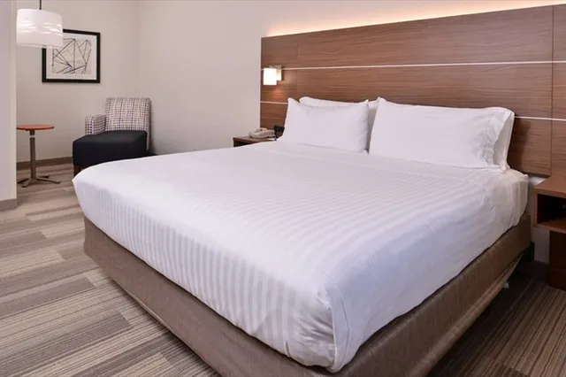 Standard, King Bed, Holiday Inn Express Hotel And Suites Albany 2/6