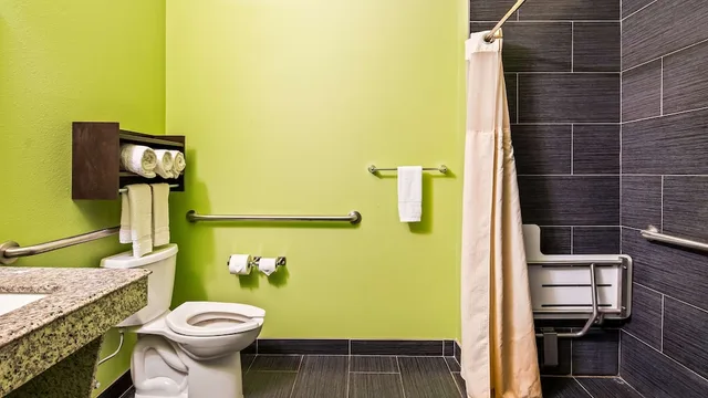 غرفة قياسية بسرير كينج لذوي الإعاقة، Best Western Plus Carrizo Springs Inn And Suites 9/10