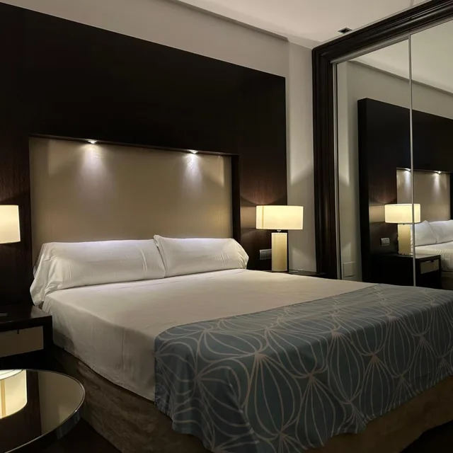 غرفة بسرير مزدوج أو سريرين منفصلين، Hotel Palacio Albacete and Spa 6/10