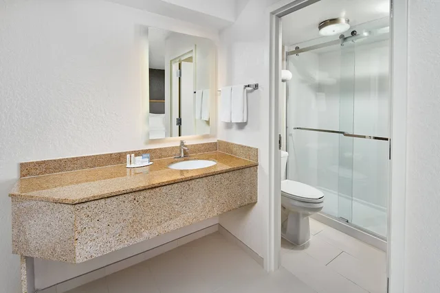 جناح بسرير كينج مع أريكة لذوي الإعاقة، Springhill Suites Houston Hobby Airport 2/2