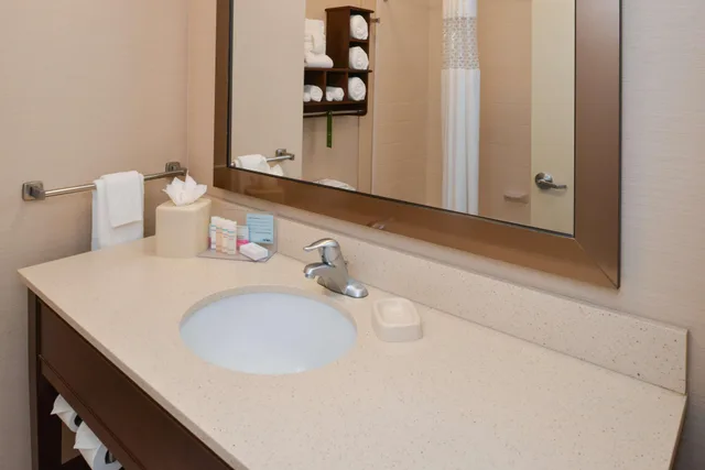 Studio, King Bed, Hampton Inn And Suites Ocala 4/4