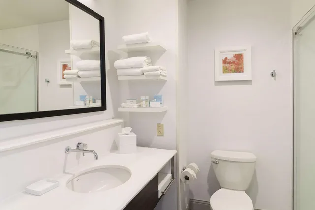 استوديو بسرير كينج مع أريكة، Hampton Inn Mt Pleasant 3/3