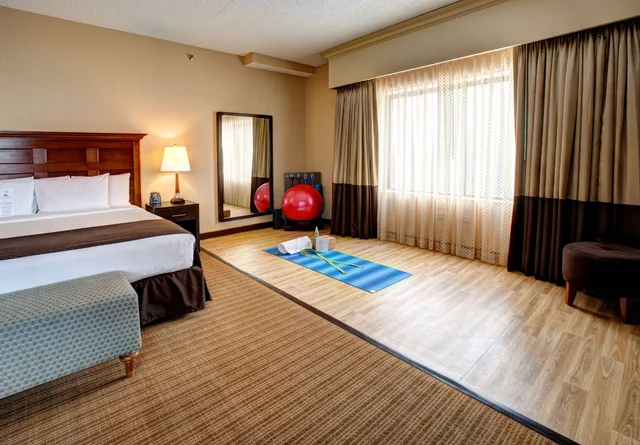 Xtra Space, King Bed، Doubletree Hotel Chicago O Hare Airport Rosemont 1/4
