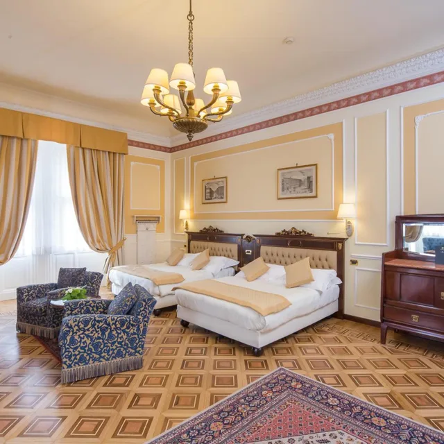 جناح غراند جونيور بسرير مزدوج، Bristol Palace 1/5