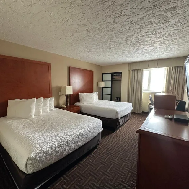 غرفة بسرير كينج وسريرين كوين، Wyndham Garden Medicine Hat Conference Center 4/10