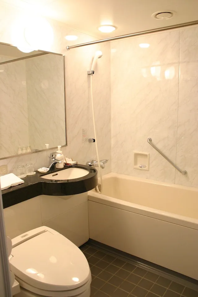 غرفة ديلوكس بسريرين منفصلين في المبنى الرئيسي، Hotel Nikko Tsukuba (ex. Okura Frontier Tsukuba) 1/1