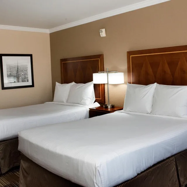 غرفة بسريرين مزدوجين، Hotel Executive Suites 1/10