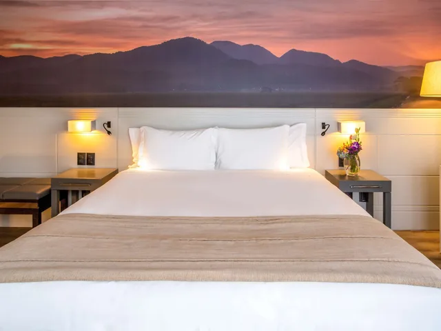 غرفة قياسية بسرير كينج، Novotel Florianopolis 4/5