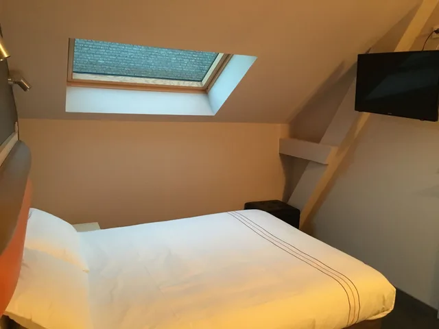 غرفة قياسية مفردة بسرير مزدوج، Adonis Hotel Strasbourg 2/4