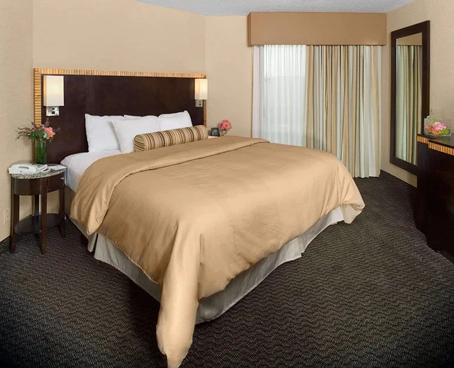 Suite, King Bed, Allergy Friendly, Accessible, Embassy Suites by Hilton Birmingham 4/9