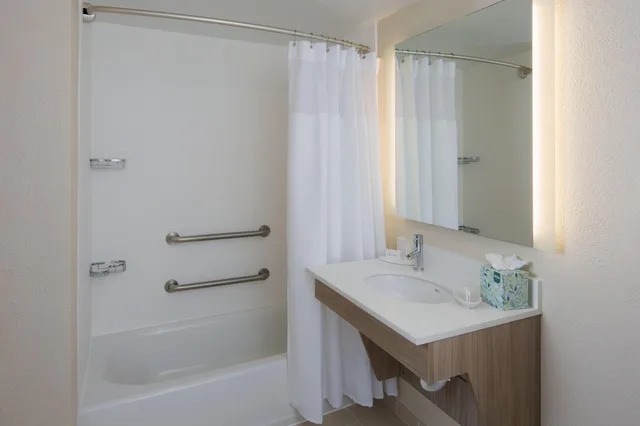 جناح لذوي الإعاقة، SpringHill Suites by Marriott New Orleans Warehouse Arts District 1/3
