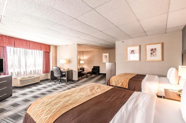 Standard, Single, 2 Queen Beds, Sofa، Comfort Inn Ballston 2/4