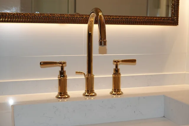 Premier, Suite, Twin Beds, City View, Continental Palacete 8/8