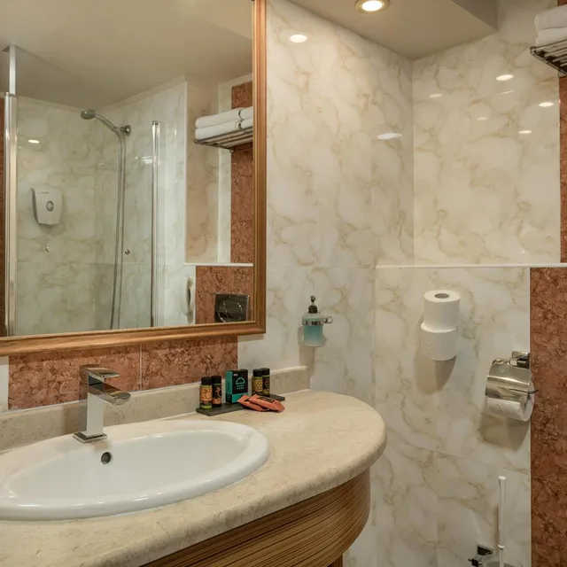 غرفة اقتصادية بسرير مزدوج أو سريرين منفصلين، Atlantica Caldera Creta Paradise Hotel 7/9