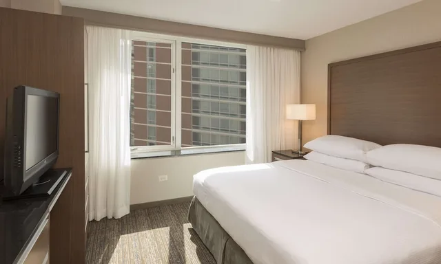 جناح أساسي بسرير كينج مع أريكة، Embassy Suites by Hilton Chicago Downtown Magnificent Mile 4/9