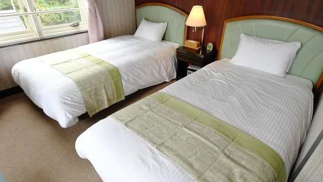 Western, Standard, Twin Beds, HOTEL RaKuun 1/1