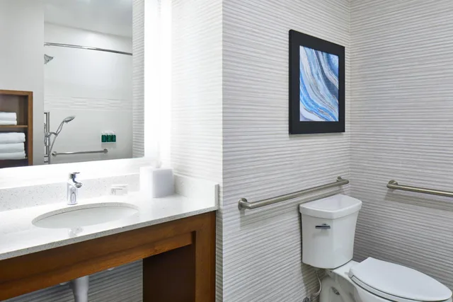 1 Bedroom, Suite, King Bed, Bay View, Sofa, Balcony، Residence Inn St. Petersburg Tierra Verde 4/8