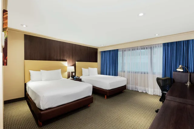 غرفة تنفيذية بسريرين مزدوجين، Hilton Mexico City Airport 4/6