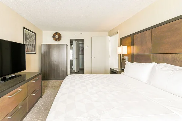 جناح بسرير كينج بغرفة نوم واحدة، Holiday Inn Charlottesville-Univ Area 1/2