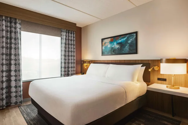 جناح جونيور بسرير كينج لذوي الإعاقة، Hilton Garden Inn Palm Coast Town Center 1/1