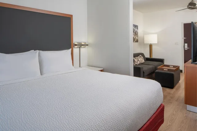 Studio, King Bed, Water View, Sofa, Balcony، SpringHill Suites by Marriott Charleston Riverview 1/3