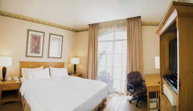 غرفة قياسية بسرير كينج، Holiday Inn Express Guanajuato 1/10