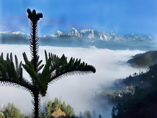 PRATIKSHA HIMALAYAN RETREAT، Almora 22/23