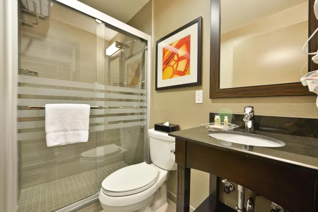 غرفة بريميير بسرير كينج، Holiday Inn Lower East Side 3/4
