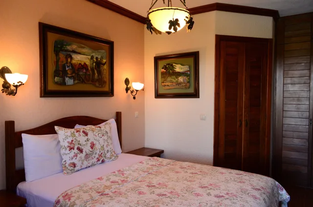 غرفة قياسية بسرير مزدوج، Ada Bacchus Hotel 8/10