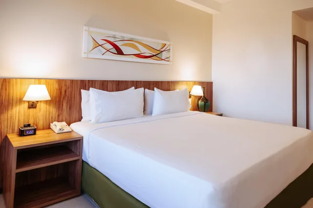 جناح بسرير كينج، Holiday Inn Manaus 2/6