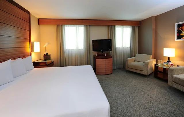 جناح تنفيذي بسرير كينج، Wyndham Sao Paulo Ibirapuera Convention Plaza Hotel 1/10