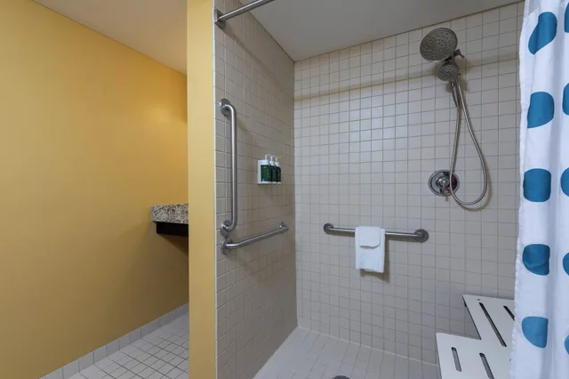 استوديو لذوي الإعاقة، Towneplace Suites East Lansing 5/5