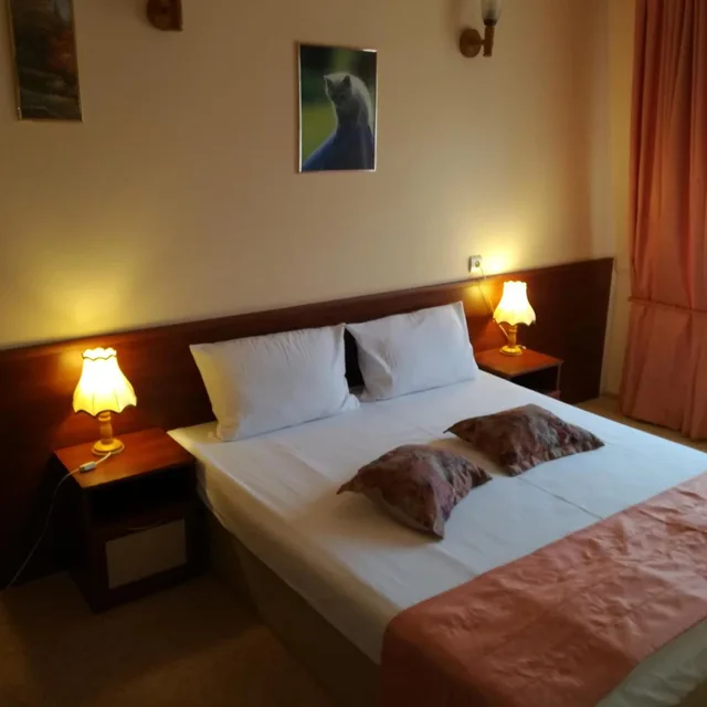جناح بسرير كينج بغرفة نوم واحدة، Hotel Galant 4/10