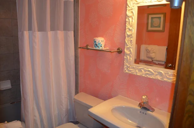 Executive, King Bed, Pool View, Sun Viking Lodge 5/6