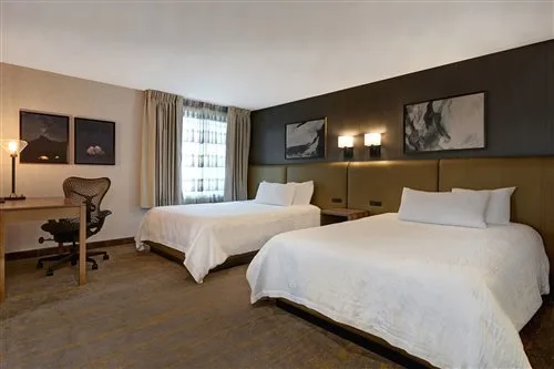 جناح بسرير كينج، Hilton Garden Inn Boise/Eagle 1/3