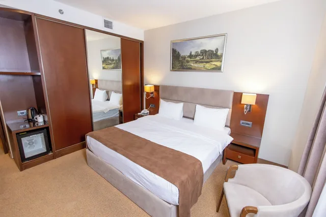 Basic, King Bed, Diamond Hotel Baku 1/10