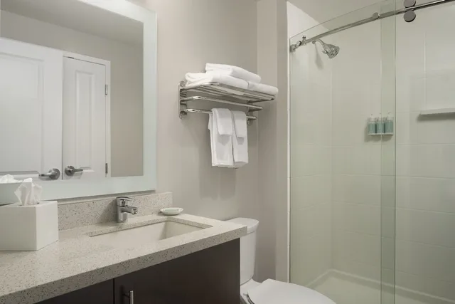 استوديو بسرير كينج مع أريكة لذوي الإعاقة، Towneplace Suites Swedesboro Logan Township 5/8