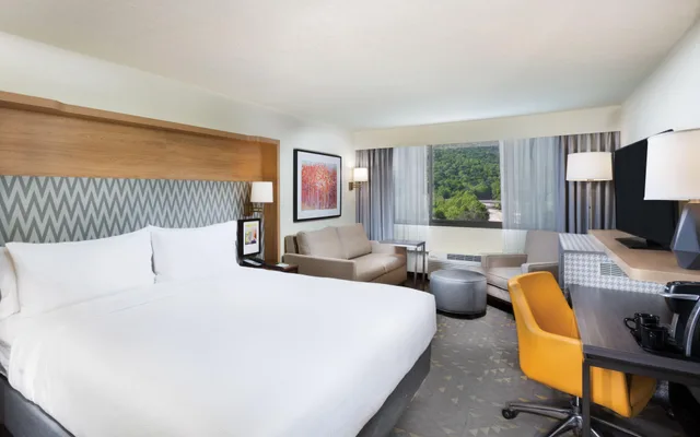 غرفة بسرير كينج بإطلالة على الجبل، Holiday Inn Biltmore East 1/2