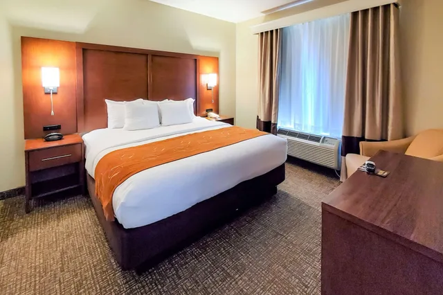 جناح بسريرين كوين مع أريكة لذوي الإعاقة، Comfort Suites Houston near Medical Center- NRG Stadium 3/6