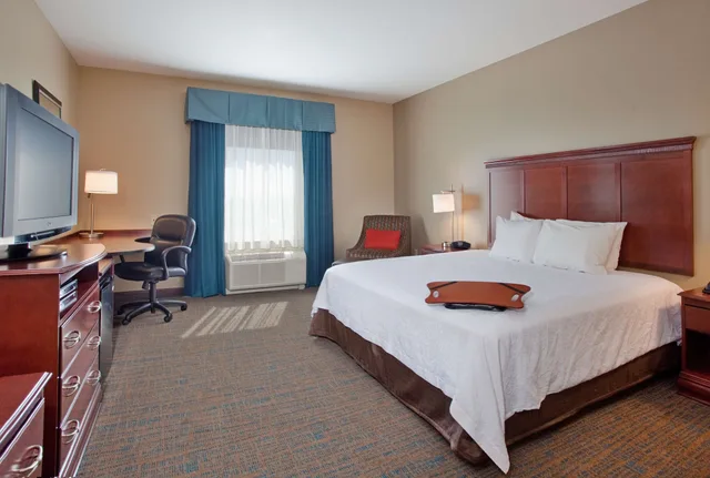 استوديو بسرير كينج مع أريكة، Hampton Inn & Suites Omaha Southwest-La Vista 1/10